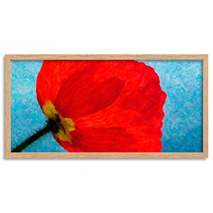 Wee Blue Coo Poppy Flower Head Red Petals Long Panel Framed Wall Art Print Wee Blue Coo Poppy Flower Head Red Petals Long Panel Framed Wall Art Print