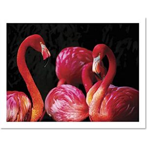 Fine Art Prints Pink Flamingo Bird Group Large Framed Art Print Poster Wall Decor 18x24 inch Fine Art Prints Pink Flamingo Bird Group Large Framed Art Print Poster Wall Decor 18x24 inch