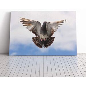Big Box Art Flying Pigeon Bird Canvas Print Gallery Wrapped 30mm Frame Wall Art 24x16 inches Ready to Hang Modern Animals Picture Living Room Bedroom Lounge Office Big Box Art Flying Pigeon Bird Canvas Print Gallery Wrapped 30mm Frame Wall Art 24x16 inches Ready to Hang Modern Animals Picture Living Room Bedroom Lounge Office