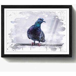 Arty Pie Framed Print Black A2 (24.5x18 Inch) Pigeon Bird V3, Wood, Multi-Colour, 60 x 42 x 2 cm Arty Pie Framed Print Black A2 (24.5x18 Inch) Pigeon Bird V3, Wood, Multi-Colour, 60 x 42 x 2 cm