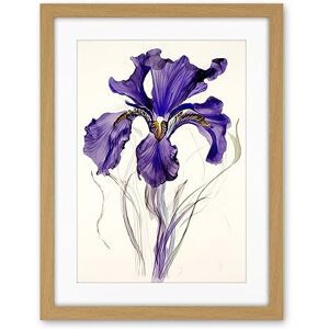 Artery8 Iris Reticulata Watercolour Flower Bloom Drawing Artwork Framed Wall Art Print 18X24 Inch Artery8 Iris Reticulata Watercolour Flower Bloom Drawing Artwork Framed Wall Art Print 18X24 Inch