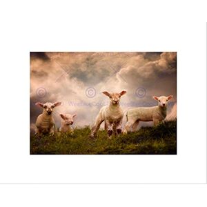 Wee Blue Coo Lambs Sheep Farm Animal Cloud Art Picture Wall Art Print Wee Blue Coo Lambs Sheep Farm Animal Cloud Art Picture Wall Art Print
