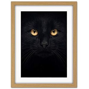Wee Blue Coo Black Cat Face Close Up Artwork Framed Wall Art Print 18X24 Inch Wee Blue Coo Black Cat Face Close Up Artwork Framed Wall Art Print 18X24 Inch