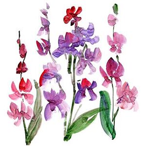 Wee Blue Coo Flower Orchid Watercolour Art Print Poster Wall Decor 12X16 Inch Wee Blue Coo Flower Orchid Watercolour Art Print Poster Wall Decor 12X16 Inch