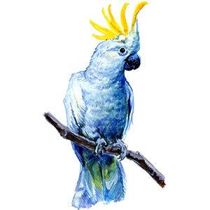 Wee Blue Coo Bird Cockatoo Painting Large Wall Art Print Canvas Premium Poster Wee Blue Coo Bird Cockatoo Painting Large Wall Art Print Canvas Premium Poster