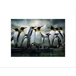 Wee Blue Coo Emperor Penguin Huddle Birds Antarctica Picture Wall Art Print Wee Blue Coo Emperor Penguin Huddle Birds Antarctica Picture Wall Art Print