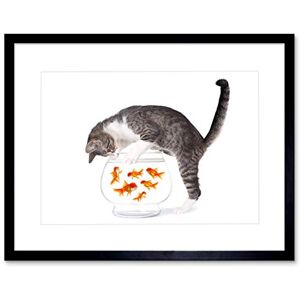 Wee Blue Coo GREY TABBY CAT GOLDFISH BOWL FISHING BLACK FRAMED ART PRINT PICTURE B12X9187 Wee Blue Coo GREY TABBY CAT GOLDFISH BOWL FISHING BLACK FRAMED ART PRINT PICTURE B12X9187