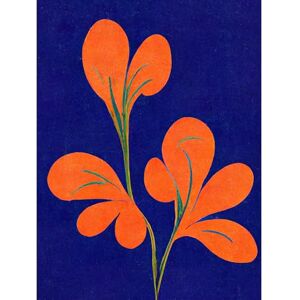 Doppelganger33 LTD Henri Matisse Inspired Bright Abstract Orange Flower Blooms On Royal Blue Large Wall Art Poster Print Thick Paper 18X24 Inch Doppelganger33 LTD Henri Matisse Inspired Bright Abstract Orange Flower Blooms On Royal Blue Large Wall Art Poster Print Thick Paper 18X24 Inch