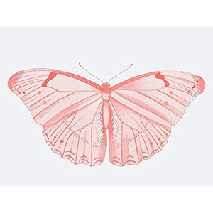 Wee Blue Coo Living Coral Butterfly Unframed Art Print Poster Wall Decor 12x16 inch Wee Blue Coo Living Coral Butterfly Unframed Art Print Poster Wall Decor 12x16 inch