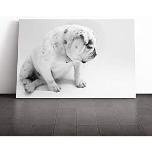 Big Box Art Canvas Print Wall Art White British Bulldog Dog (2) Mounted and Stretched Box Frame Picture Home Decor for Kitchen, Living, Dining Room, Bedroom, Hallway, Multi-Colour, 24x16 Inch Big Box Art Canvas Print Wall Art White British Bulldog Dog (2) Mounted and Stretched Box Frame Picture Home Decor for Kitchen, Living, Dining Room, Bedroom, Hallway, Multi-Colour, 24x16 Inch