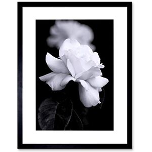 Wee Blue Coo Photo Nature Black White Rose Petal Flower Framed Wall Art Print Wee Blue Coo Photo Nature Black White Rose Petal Flower Framed Wall Art Print