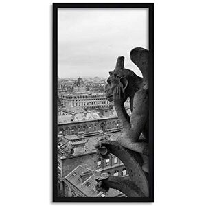 Wee Blue Coo Gargoyle Paris France Grotesque Long Panel Framed Wall Art Print Wee Blue Coo Gargoyle Paris France Grotesque Long Panel Framed Wall Art Print
