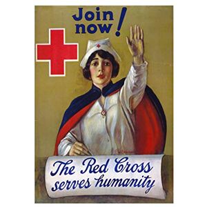 Wee Blue Coo Red Cross Nurse Humanitarian Charity Picture Wall Art Print Wee Blue Coo Red Cross Nurse Humanitarian Charity Picture Wall Art Print