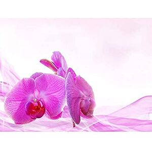 Wee Blue Coo Pink Orchid Pretty Flowers Wall Art Print Wee Blue Coo Pink Orchid Pretty Flowers Wall Art Print