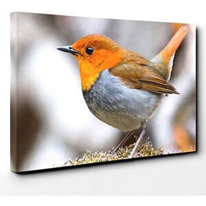 Big Box Art Robin Bird Canvas Print Gallery Wrapped 30mm Frame Wall Art 24x16 inches Ready to Hang Modern Animals Picture Living Room Bedroom Lounge Office Big Box Art Robin Bird Canvas Print Gallery Wrapped 30mm Frame Wall Art 24x16 inches Ready to Hang Modern Animals Picture Living Room Bedroom Lounge Office
