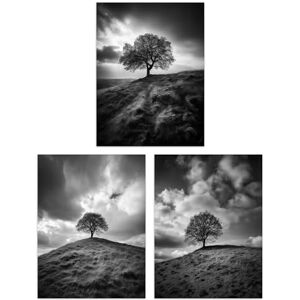 Artery8 Set of 3 Lone Tree on a Hill Black and White Photographs Countryside Field Landscape Unframed Wall Art Living Room Poster Prints Pack Artery8 Set of 3 Lone Tree on a Hill Black and White Photographs Countryside Field Landscape Unframed Wall Art Living Room Poster Prints Pack