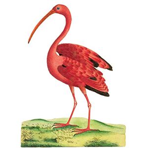 Fine Art Prints Bird Scarlet Ibis Large Wall Art Print Canvas Premium Poster Fine Art Prints Bird Scarlet Ibis Large Wall Art Print Canvas Premium Poster