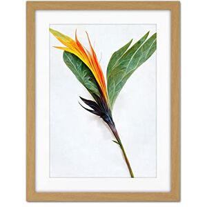 Doppelganger33 LTD Single Bird Paradise Flower Stem With Orange Bloom Artwork Framed Wall Art Print 18X24 Inch Doppelganger33 LTD Single Bird Paradise Flower Stem With Orange Bloom Artwork Framed Wall Art Print 18X24 Inch