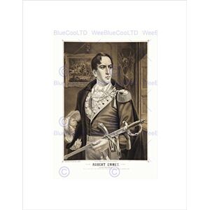 Wee Blue Coo PAINTINGS PORTRAIT ROBERT EMMET IRISH PATRIOT MARTYR HERO FRAMED PRINT B12X10971 Wee Blue Coo PAINTINGS PORTRAIT ROBERT EMMET IRISH PATRIOT MARTYR HERO FRAMED PRINT B12X10971