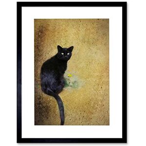Wee Blue Coo Photo Composition Cat Black Flower Yellow Cool Picture Framed Wall Art Print Wee Blue Coo Photo Composition Cat Black Flower Yellow Cool Picture Framed Wall Art Print