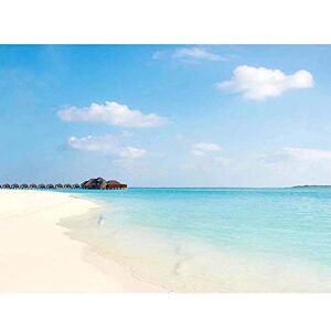 Wee Blue Coo Tropical Beach Caribbean Seaside Art Print Poster Wall Decor 12X16 Inch Wee Blue Coo Tropical Beach Caribbean Seaside Art Print Poster Wall Decor 12X16 Inch