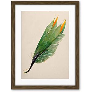 Wee Blue Coo Tropical Bird Of Paradise Leaf Botanical Illustration Artwork Framed Wall Art Print 18X24 Inch Wee Blue Coo Tropical Bird Of Paradise Leaf Botanical Illustration Artwork Framed Wall Art Print 18X24 Inch