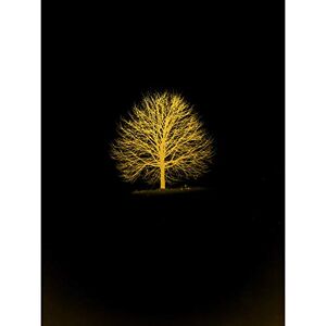 Artery8 Gold Effect Yellow Black Lone Tree Isolate Unframed Wall Art Print Poster Home Decor Premium Artery8 Gold Effect Yellow Black Lone Tree Isolate Unframed Wall Art Print Poster Home Decor Premium