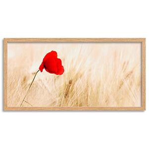 Wee Blue Coo Red Poppy Flower Wheat Long Panel Framed Wall Art Print Wee Blue Coo Red Poppy Flower Wheat Long Panel Framed Wall Art Print