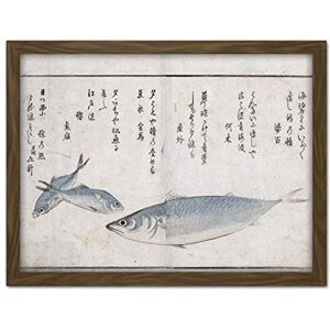 Artery8 Masayoshi Three Fish Japanese Sea Animals Painting Artwork Framed Wall Art Print 18X24 Inch Artery8 Masayoshi Three Fish Japanese Sea Animals Painting Artwork Framed Wall Art Print 18X24 Inch