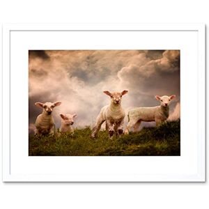 Wee Blue Coo Lambs Sheep Farm Animal Cloud Art Picture Framed Wall Art Print Wee Blue Coo Lambs Sheep Farm Animal Cloud Art Picture Framed Wall Art Print