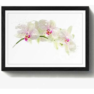 Arty Pie Framed Print Black A2 (24.5x18 Inch) Flower White Orchid (2) V3, Wood, Multi-Colour, 60 x 42 x 2 cm Arty Pie Framed Print Black A2 (24.5x18 Inch) Flower White Orchid (2) V3, Wood, Multi-Colour, 60 x 42 x 2 cm