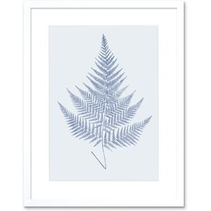 Wee Blue Coo Botanics Cobalt Fern Eppusum Art Print White Framed Poster Wall Decor 9x7 inch Wee Blue Coo Botanics Cobalt Fern Eppusum Art Print White Framed Poster Wall Decor 9x7 inch