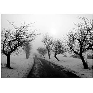 Wee Blue Coo Photo Landscape Black White Snow Winter Tree Wall Art Print Wee Blue Coo Photo Landscape Black White Snow Winter Tree Wall Art Print