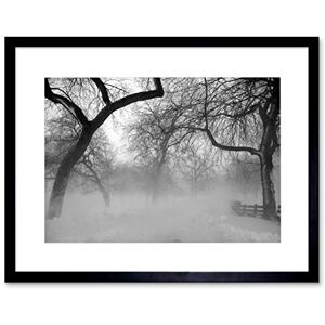 Wee Blue Coo Nature Landscape Forest Snow Fog Ice Winter Black White Framed Wall Art Print Wee Blue Coo Nature Landscape Forest Snow Fog Ice Winter Black White Framed Wall Art Print