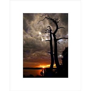 Wee Blue Coo OLD TREE SILHOUETTE GREY ORANGE BLACK FRAME FRAMED ART PRINT PICTURE B12X8040 Wee Blue Coo OLD TREE SILHOUETTE GREY ORANGE BLACK FRAME FRAMED ART PRINT PICTURE B12X8040