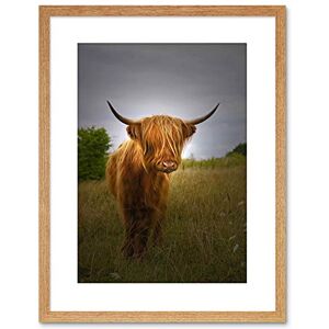 Wee Blue Coo Photo Farm Animal Highland Cow Calf Scotland Framed Wall Art Print Wee Blue Coo Photo Farm Animal Highland Cow Calf Scotland Framed Wall Art Print