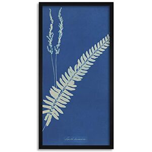 Artery8 Atkins South America British Flowering Plants Ferns Photo Framed Wall Art Print Long 25X12 Inch Artery8 Atkins South America British Flowering Plants Ferns Photo Framed Wall Art Print Long 25X12 Inch