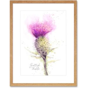 Wee Blue Coo Scottish Thistle Flower Head Watercolour Scotland Framed Wall Art Print Wee Blue Coo Scottish Thistle Flower Head Watercolour Scotland Framed Wall Art Print