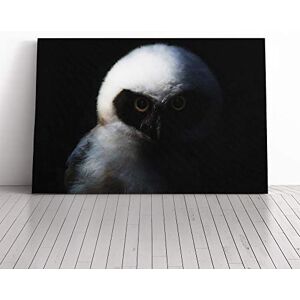 Big Box Art Spectacled Owl Bird Canvas Print Gallery Wrapped 30mm Frame Wall Art 20x14 inches Ready to Hang Modern Animals Picture Living Room Bedroom Lounge Office Big Box Art Spectacled Owl Bird Canvas Print Gallery Wrapped 30mm Frame Wall Art 20x14 inches Ready to Hang Modern Animals Picture Living Room Bedroom Lounge Office