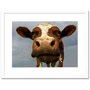 Wee Blue Coo Funny Cow Farm Animal Close Up Photo Framed Wall Art Print Wee Blue Coo Funny Cow Farm Animal Close Up Photo Framed Wall Art Print