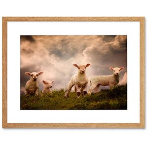 Wee Blue Coo LAMBS SHEEP FARM ANIMAL CLOUD BLACK FRAME FRAMED ART PRINT PICTURE B12X8865 Wee Blue Coo LAMBS SHEEP FARM ANIMAL CLOUD BLACK FRAME FRAMED ART PRINT PICTURE B12X8865