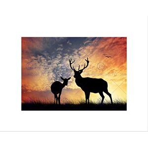Wee Blue Coo PHOTO COMPOSITION DEER SILHOUETTE SUNSET SKY STAG FRAMED ART PRINT B12X8320 Wee Blue Coo PHOTO COMPOSITION DEER SILHOUETTE SUNSET SKY STAG FRAMED ART PRINT B12X8320