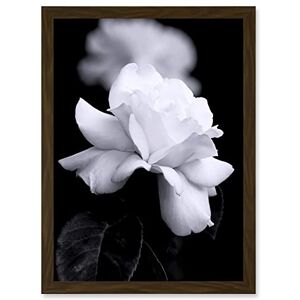 Artery8 - Nature Black White Rose Petal Flower A4 - Brown - Wall Art Print Artery8 - Nature Black White Rose Petal Flower A4 - Brown - Wall Art Print