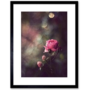 Wee Blue Coo Vintage Pink Rose Flower Shabby Chic Picture Framed Wall Art Print Wee Blue Coo Vintage Pink Rose Flower Shabby Chic Picture Framed Wall Art Print