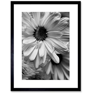 Wee Blue Coo BLACK WHITE FLOWER PETAL BLACK FRAME FRAMED ART PRINT PICTURE MOUNT B12X9024 Wee Blue Coo BLACK WHITE FLOWER PETAL BLACK FRAME FRAMED ART PRINT PICTURE MOUNT B12X9024