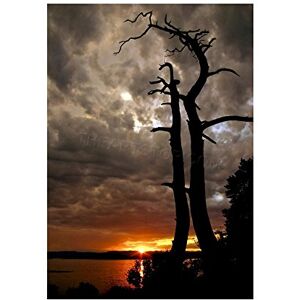 Wee Blue Coo Photo Landscape Sunset Old Dead Tree Silhouette Wall Art Print Wee Blue Coo Photo Landscape Sunset Old Dead Tree Silhouette Wall Art Print