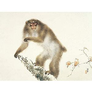 Fine Art Prints Hashimoto Old Monkey Cherry Autumn Japan Painting Unframed Wall Art Print Poster Home Decor Premium Fine Art Prints Hashimoto Old Monkey Cherry Autumn Japan Painting Unframed Wall Art Print Poster Home Decor Premium