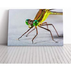 Big Box Art Dragonfly Insect (2) Canvas Print Gallery Wrapped 30mm Frame Wall Art 24x16 inches Ready to Hang Modern Animals Picture Living Room Bedroom Lounge Office Big Box Art Dragonfly Insect (2) Canvas Print Gallery Wrapped 30mm Frame Wall Art 24x16 inches Ready to Hang Modern Animals Picture Living Room Bedroom Lounge Office