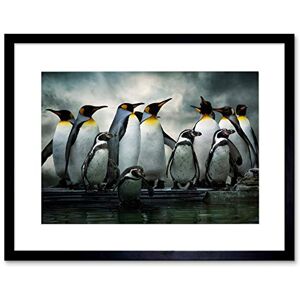 Wee Blue Coo Photo Nature Emperor Penguin Birds Framed Wall Art Print Wee Blue Coo Photo Nature Emperor Penguin Birds Framed Wall Art Print
