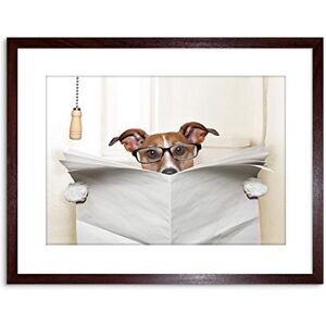 Wee Blue Coo Photo Mock Jack Russell Toilet Reading Newspaper Art Print Framed Poster Wall Decor 9x7 inch Wee Blue Coo Photo Mock Jack Russell Toilet Reading Newspaper Art Print Framed Poster Wall Decor 9x7 inch